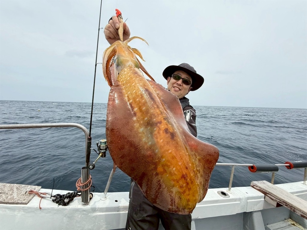 f:id:shimokenpi:20250521123904j:image