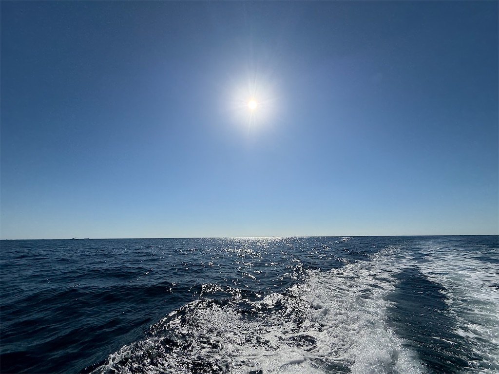 f:id:shimokenpi:20251115165333j:image