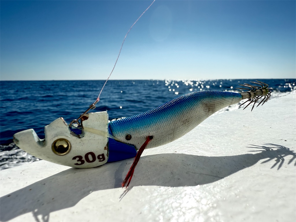 f:id:shimokenpi:20251115165355j:image