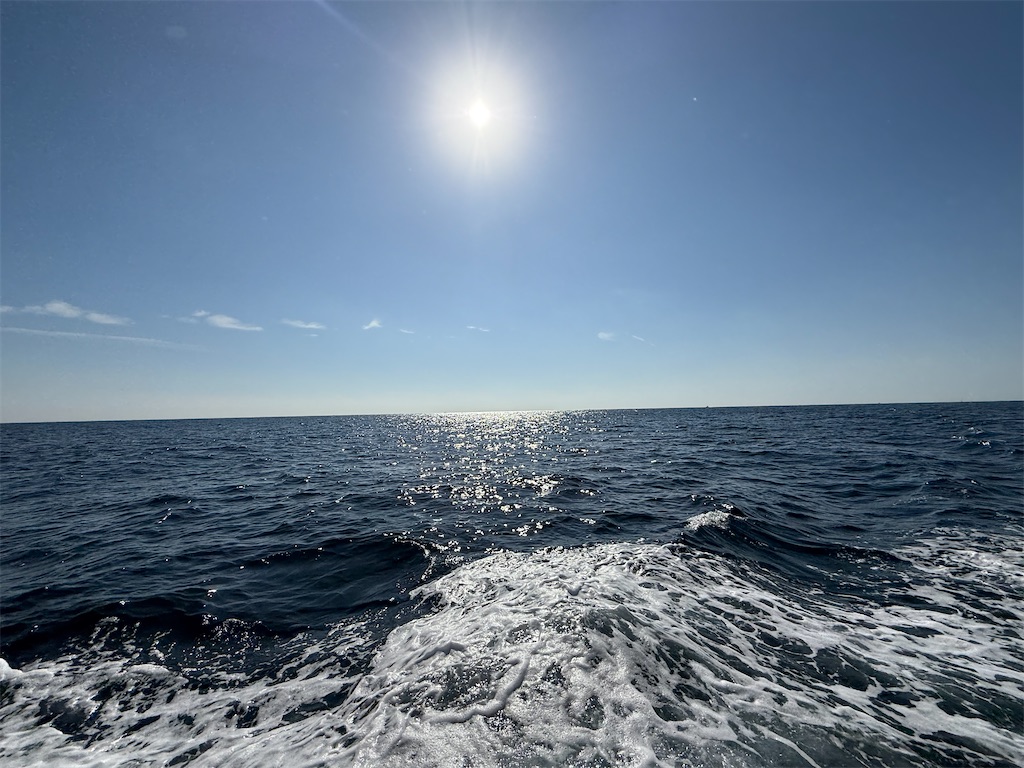 f:id:shimokenpi:20251117080905j:image