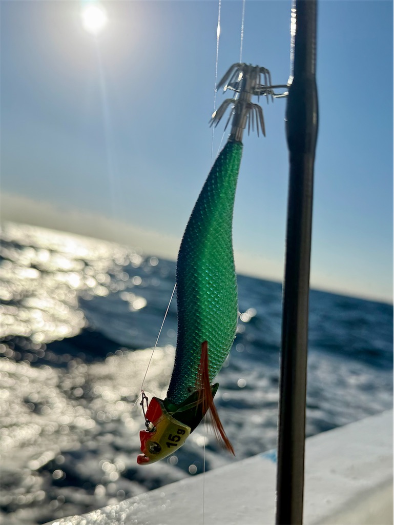 f:id:shimokenpi:20251117081452j:image