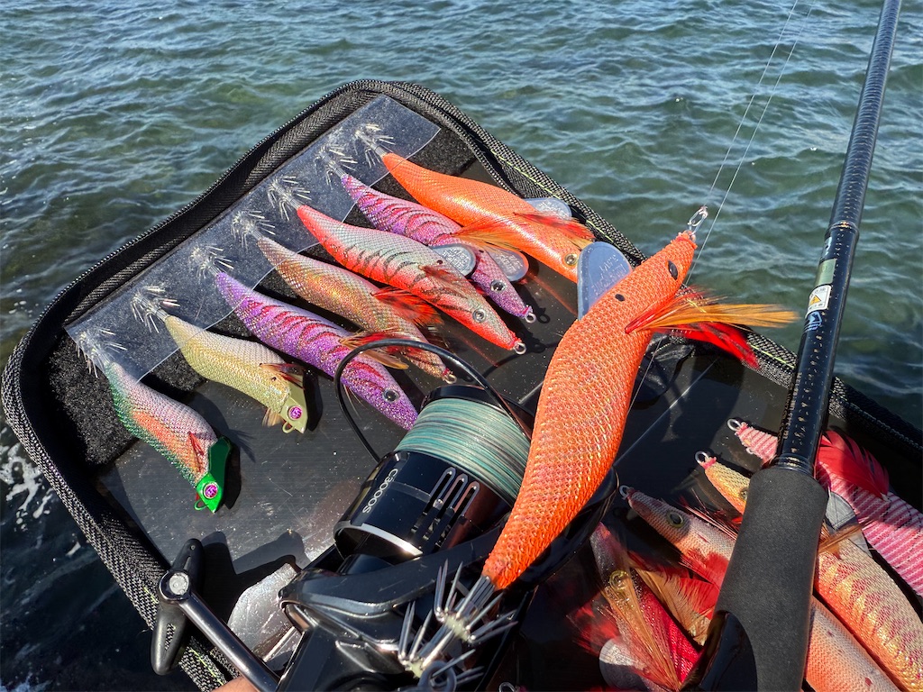 f:id:shimokenpi:20251130164838j:image