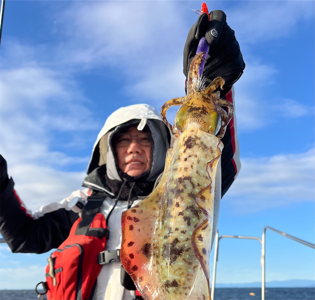 f:id:shimokenpi:20251215073011j:image