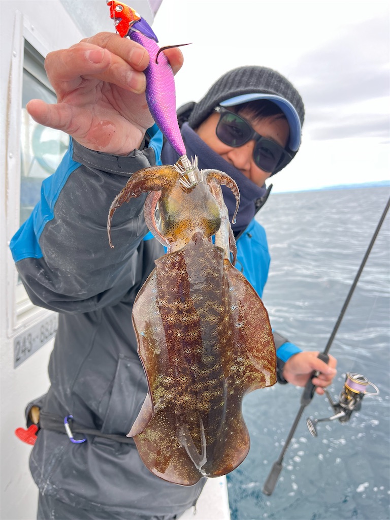 f:id:shimokenpi:20251215073111j:image