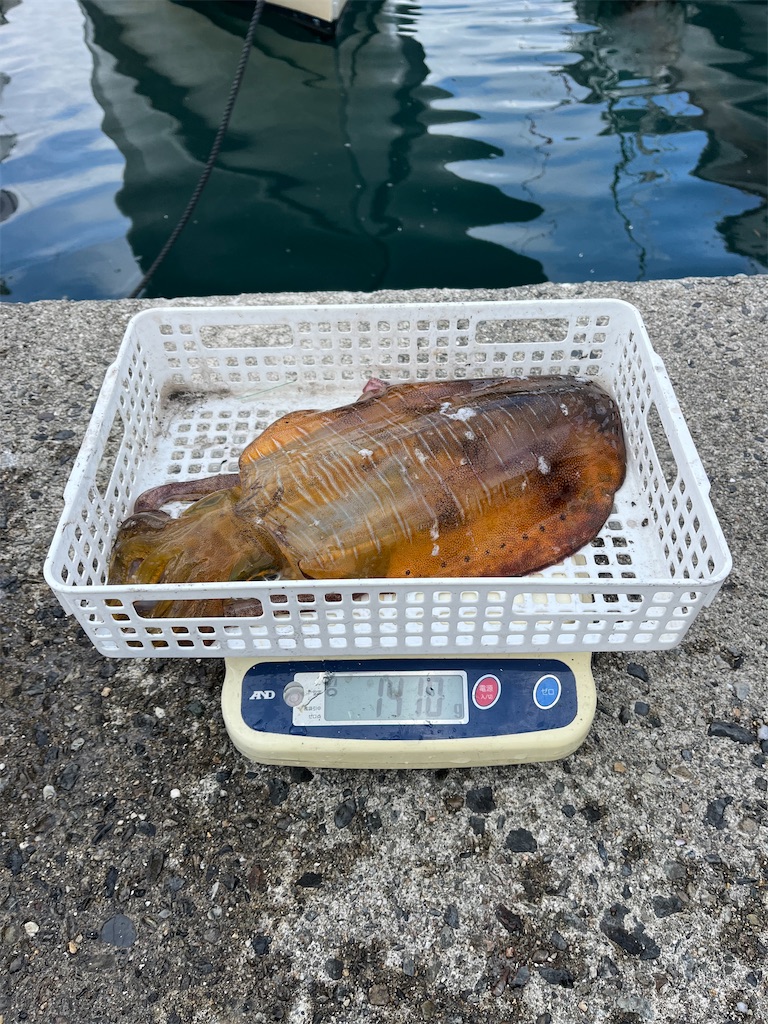 f:id:shimokenpi:20251215073222j:image