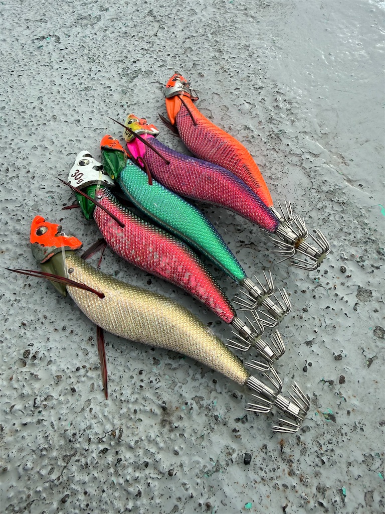 f:id:shimokenpi:20251222073631j:image