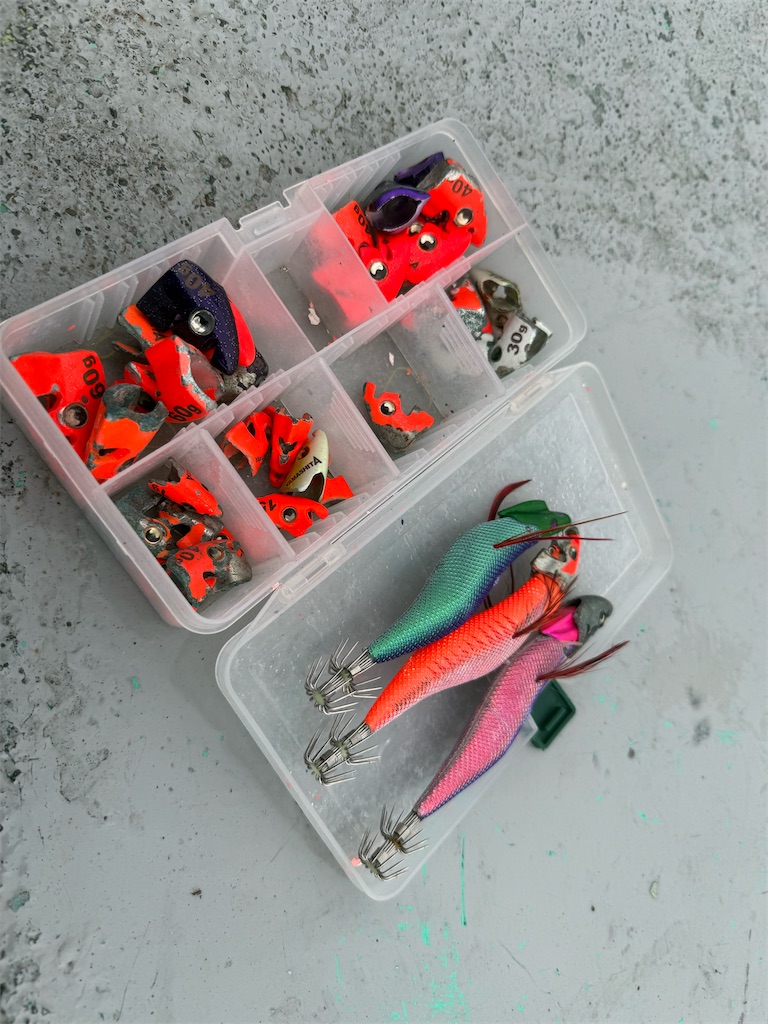 f:id:shimokenpi:20251222073643j:image