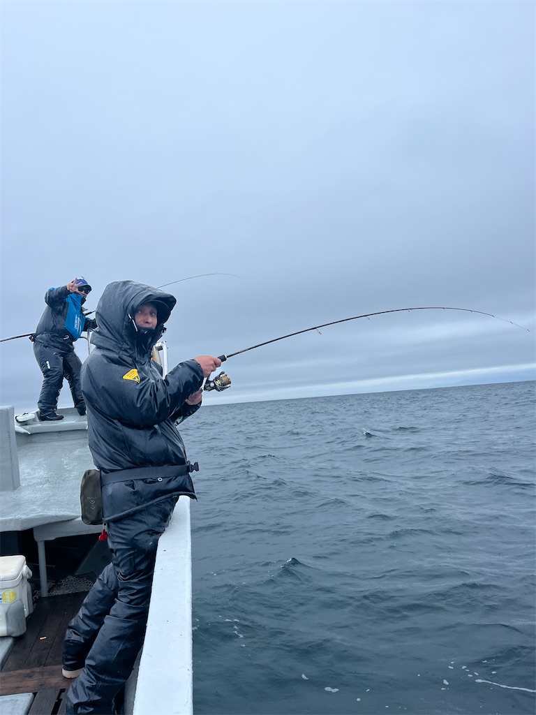 f:id:shimokenpi:20251222073652j:image