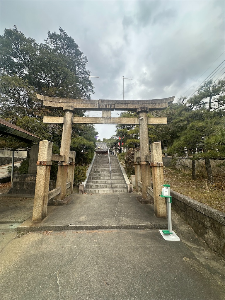f:id:shimokenpi:20251225074632j:image