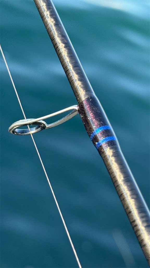 f:id:shimokenpi:20260111175932j:image