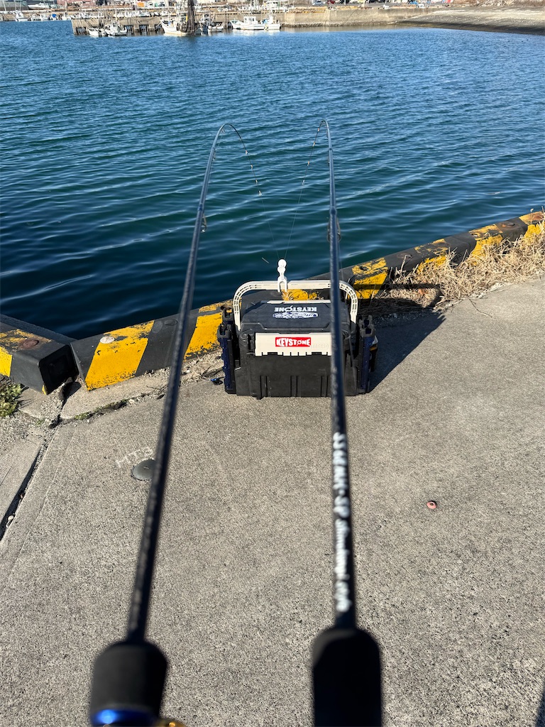 f:id:shimokenpi:20260111175947j:image