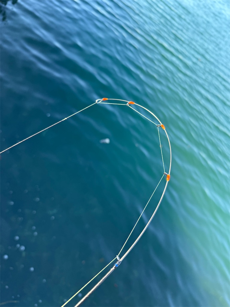 f:id:shimokenpi:20260111175957j:image