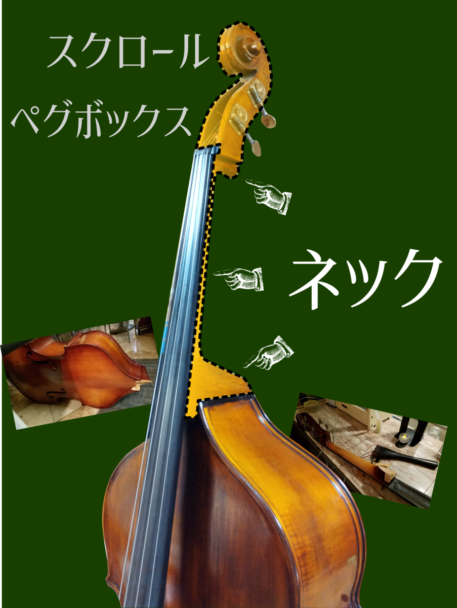 お値引いたしました！ コントラバス  :  G.D.A.E線 お値引いたしました！ コントラバス : G.D.A.E線