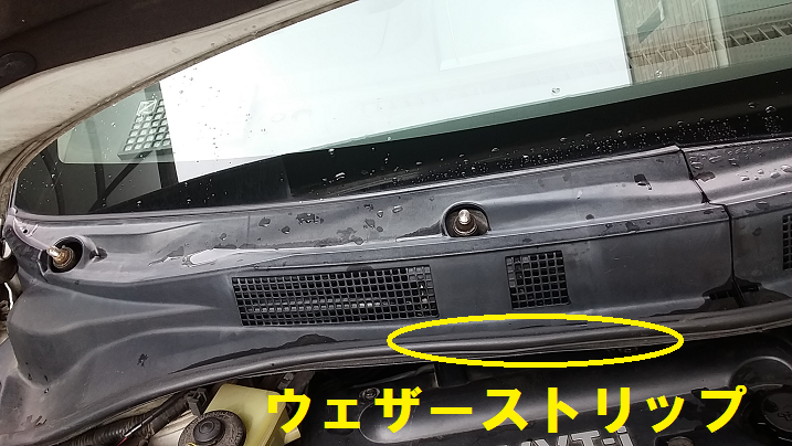 f:id:shimoten:20190120095642p:plain