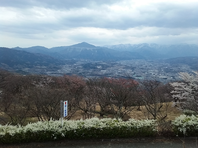 f:id:shimoten:20190417204202p:plain