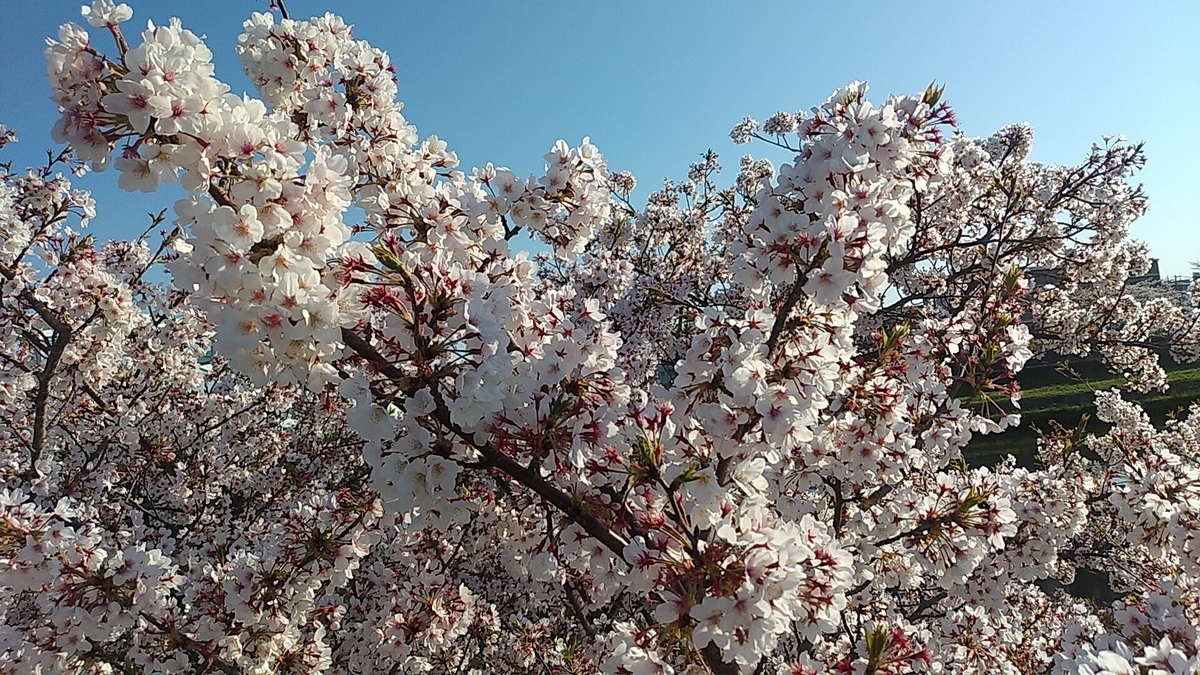 f:id:shimoten:20200410234519j:plain
