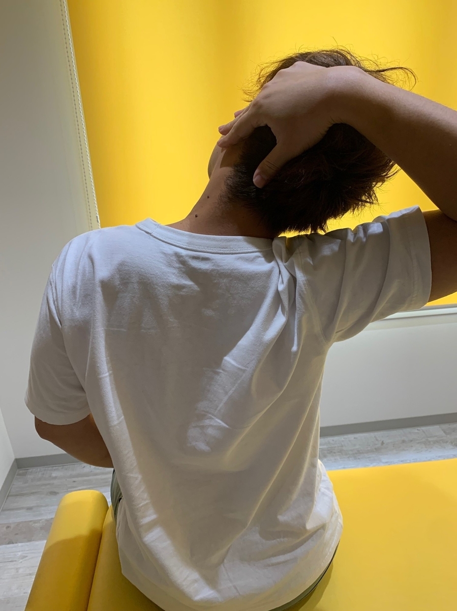 f:id:shimpokun:20211019144846j:plain