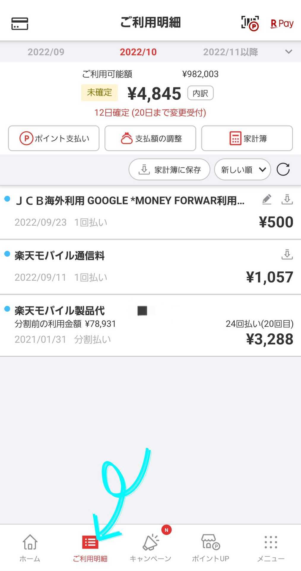 楽天カード使用履歴はすぐ反映？遅すぎ？利用明細アプリに反映されない 