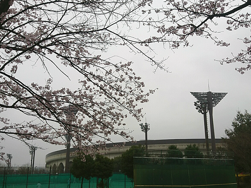 f:id:shin-3-yg:20170409084506p:plain f:id:shin-3-yg:20170409084506p:plain