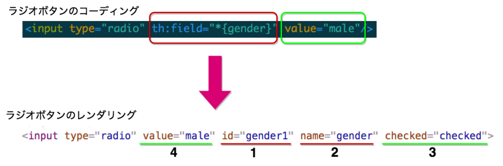 Th Field と Th Object によるフォームバインディング機能 Inputタグ Radio編 カジュアルな技術ノート