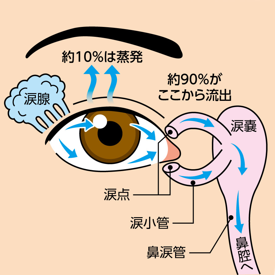 点眼 麻酔 と は