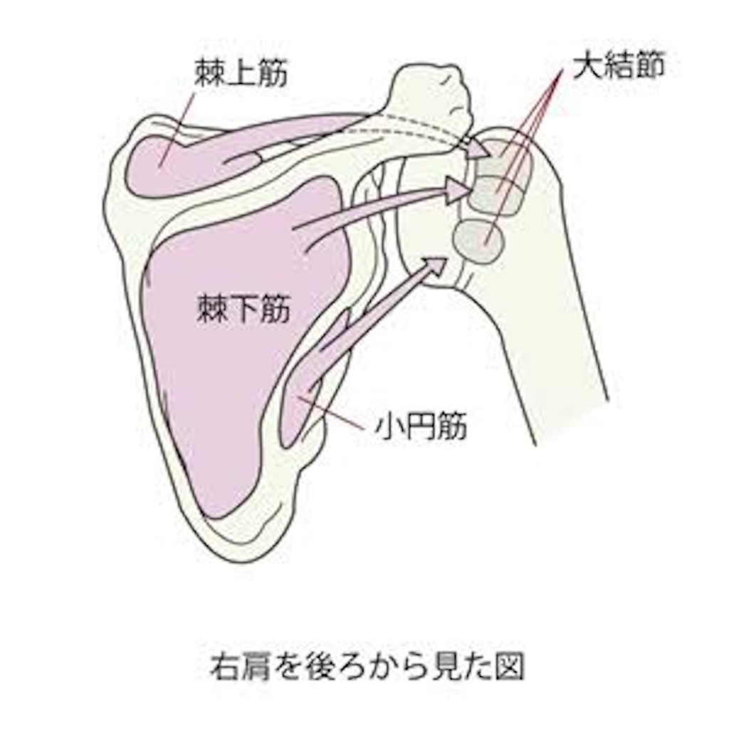 f:id:shin010289:20210509212021j:image