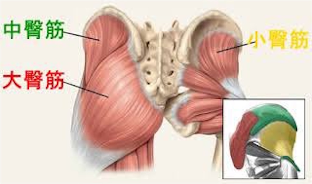 f:id:shin010289:20210511194631j:image