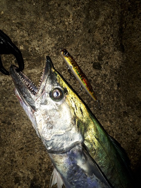 ジャンプライズ かっ飛び棒130br 釣物語