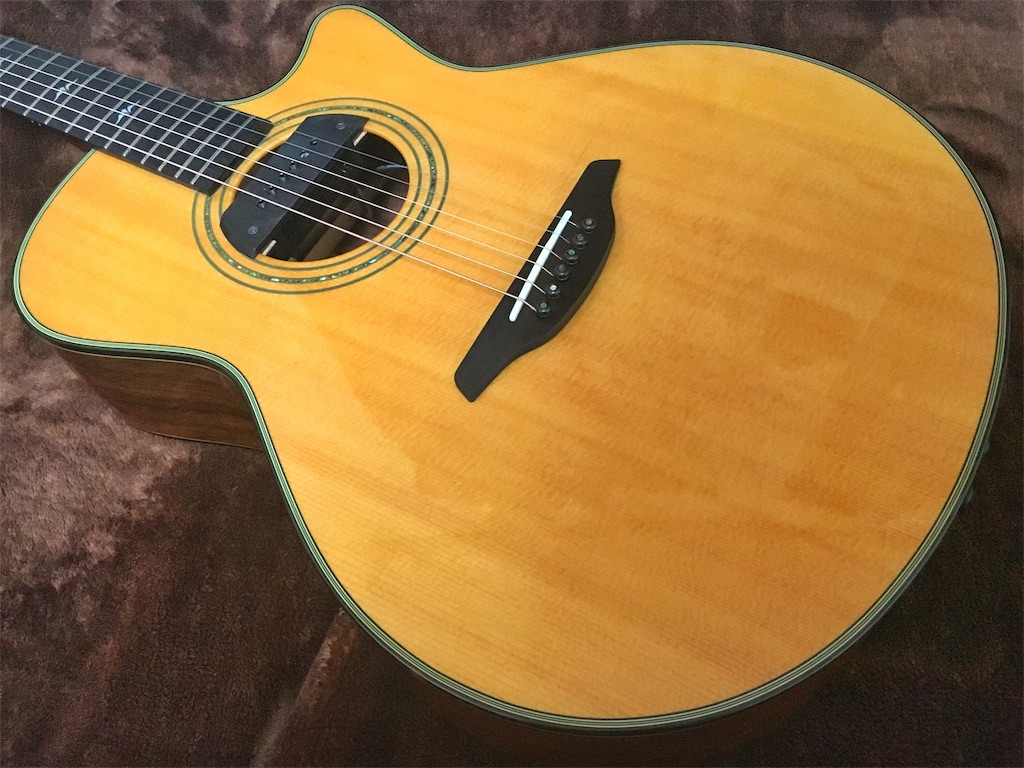 FURCH(フォルヒ) G23-SGCT FURCH G23-SGCT (Madagascar)|ドルフィンギターズ