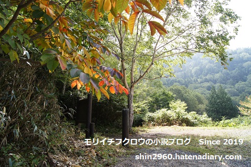 f:id:shin2960:20191104113339j:plain f:id:shin2960:20191104113339j:plain