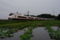 石岡－高浜_E657系特急スーパーひたち43号