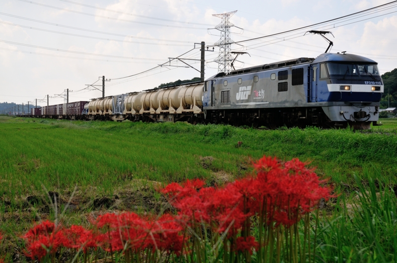 滑河－下総神崎_1093レ_EF210-112号機（新鶴見）+コキ15B