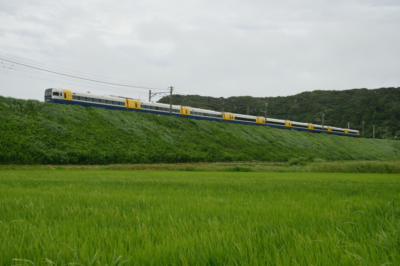 飯岡－倉橋_255系特急しおさい10号