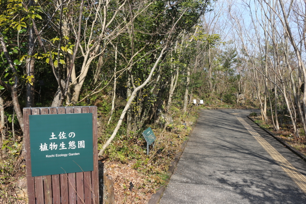 f:id:shinK:20180513155933j:plain f:id:shinK:20180513155933j:plain