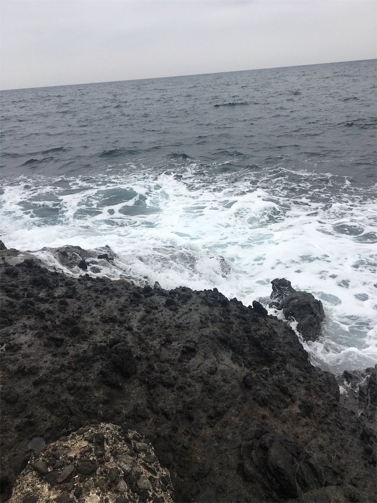 f:id:shinO:20190331083124j:image f:id:shinO:20190331083124j:image
