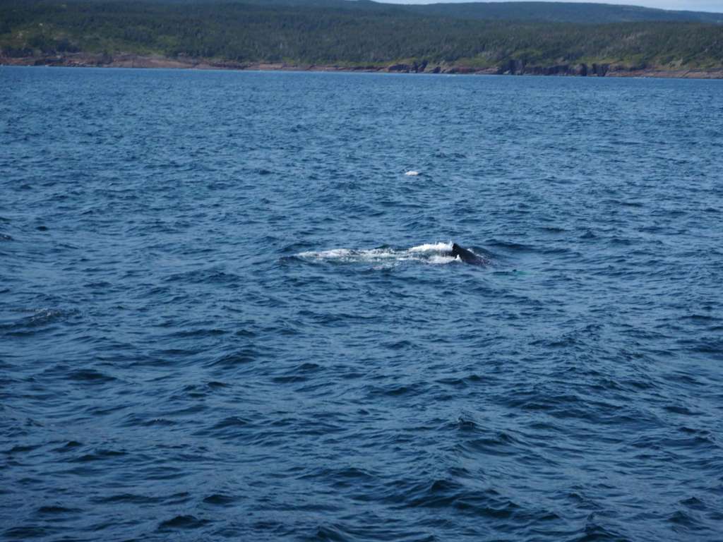 f:id:shin_508:20170902065112j:plain f:id:shin_508:20170902065112j:plain