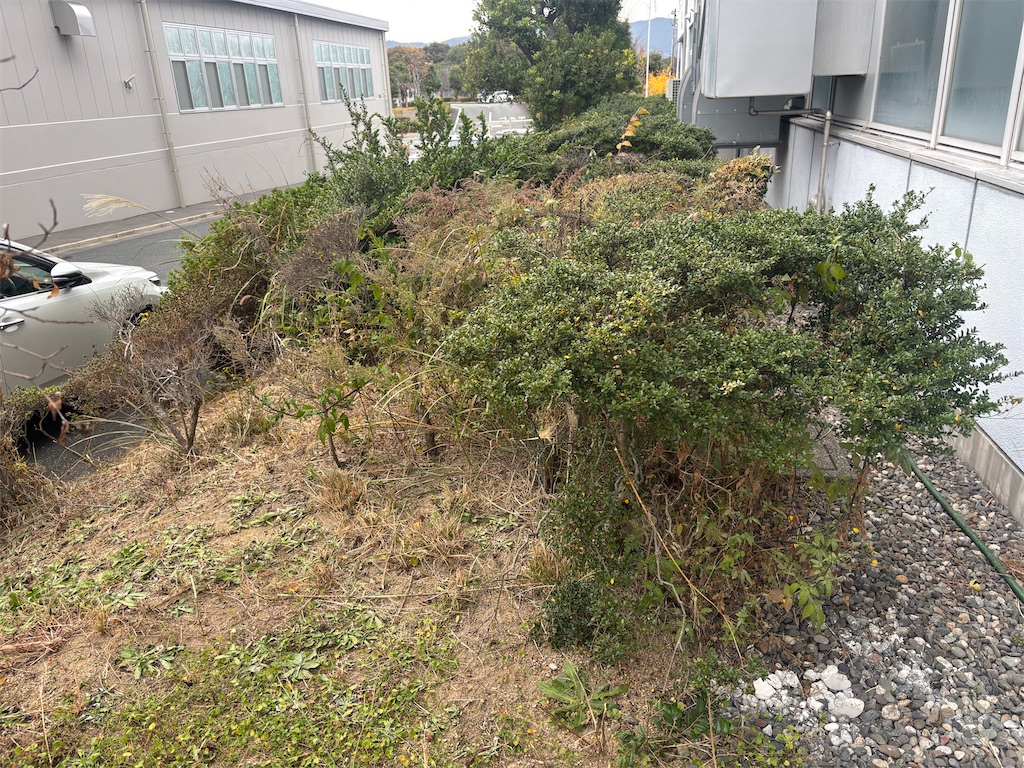 f:id:shin_enjoylife:20251203235149j:image