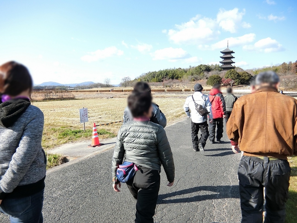 f:id:shin_no_suke_96:20190114220322j:plain