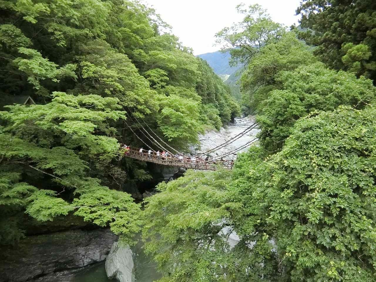 f:id:shin_no_suke_96:20190617190955j:plain f:id:shin_no_suke_96:20190617190955j:plain