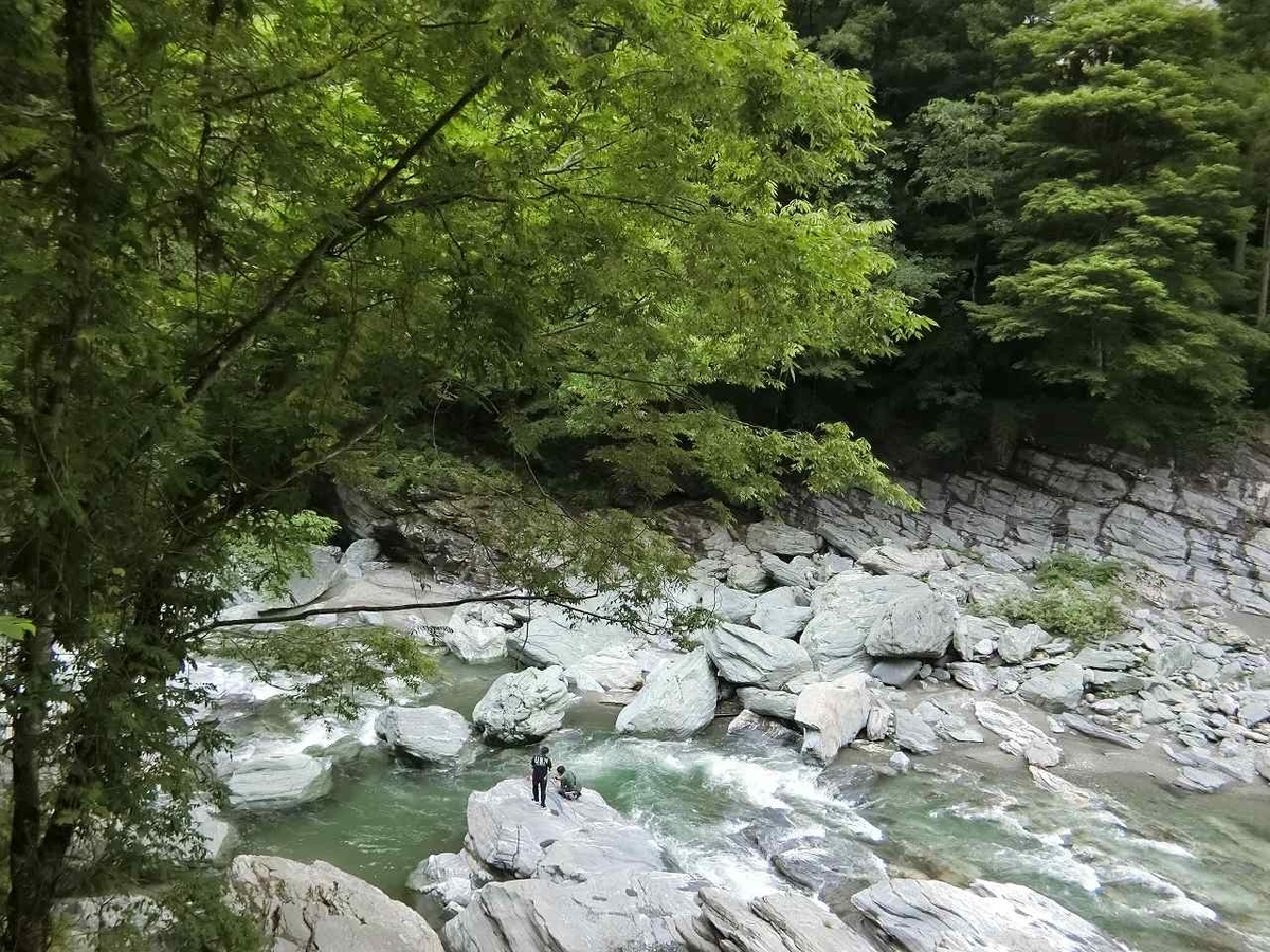 f:id:shin_no_suke_96:20190617191001j:plain f:id:shin_no_suke_96:20190617191001j:plain