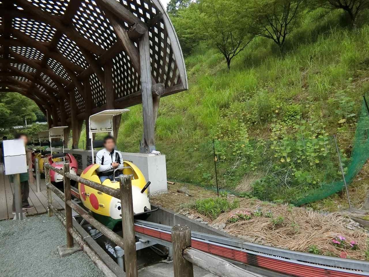 f:id:shin_no_suke_96:20190617191027j:plain f:id:shin_no_suke_96:20190617191027j:plain