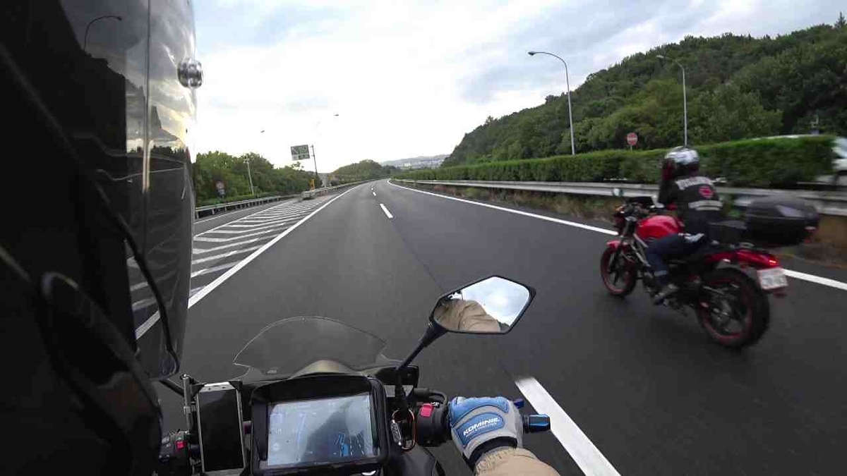 f:id:shin_no_suke_96:20190617200857j:plain f:id:shin_no_suke_96:20190617200857j:plain