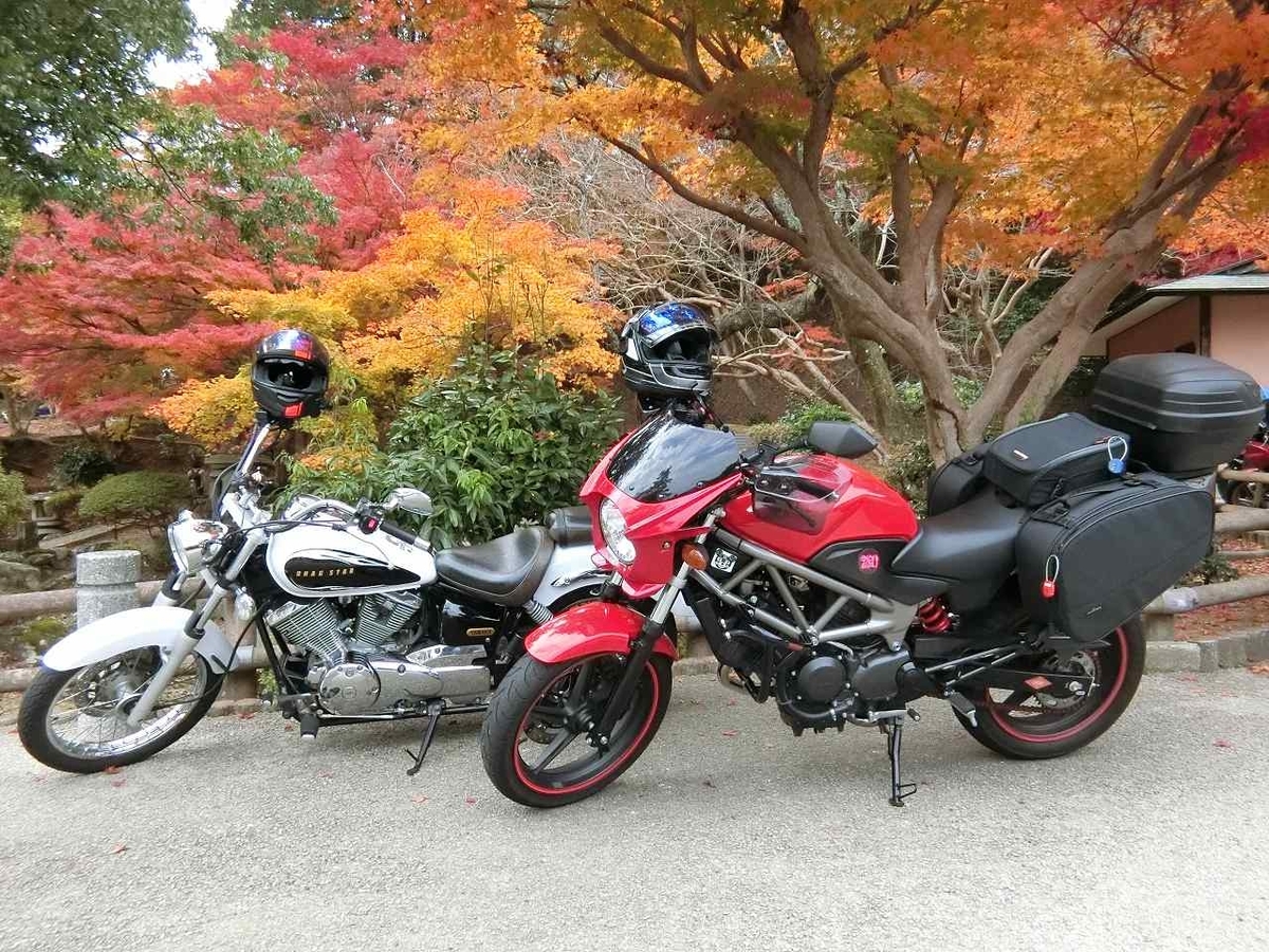 f:id:shin_no_suke_96:20191119183459j:plain