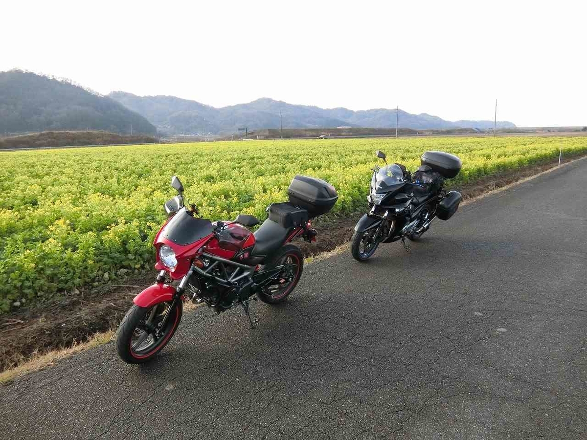 f:id:shin_no_suke_96:20200302181740j:plain