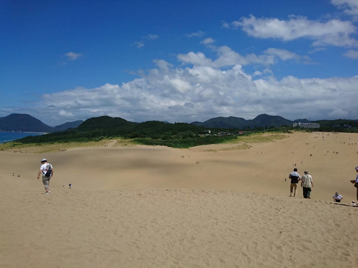 f:id:shin_no_suke_96:20200831100533j:plain f:id:shin_no_suke_96:20200831100533j:plain