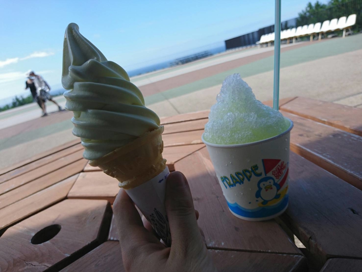 f:id:shin_no_suke_96:20200831100536j:plain f:id:shin_no_suke_96:20200831100536j:plain