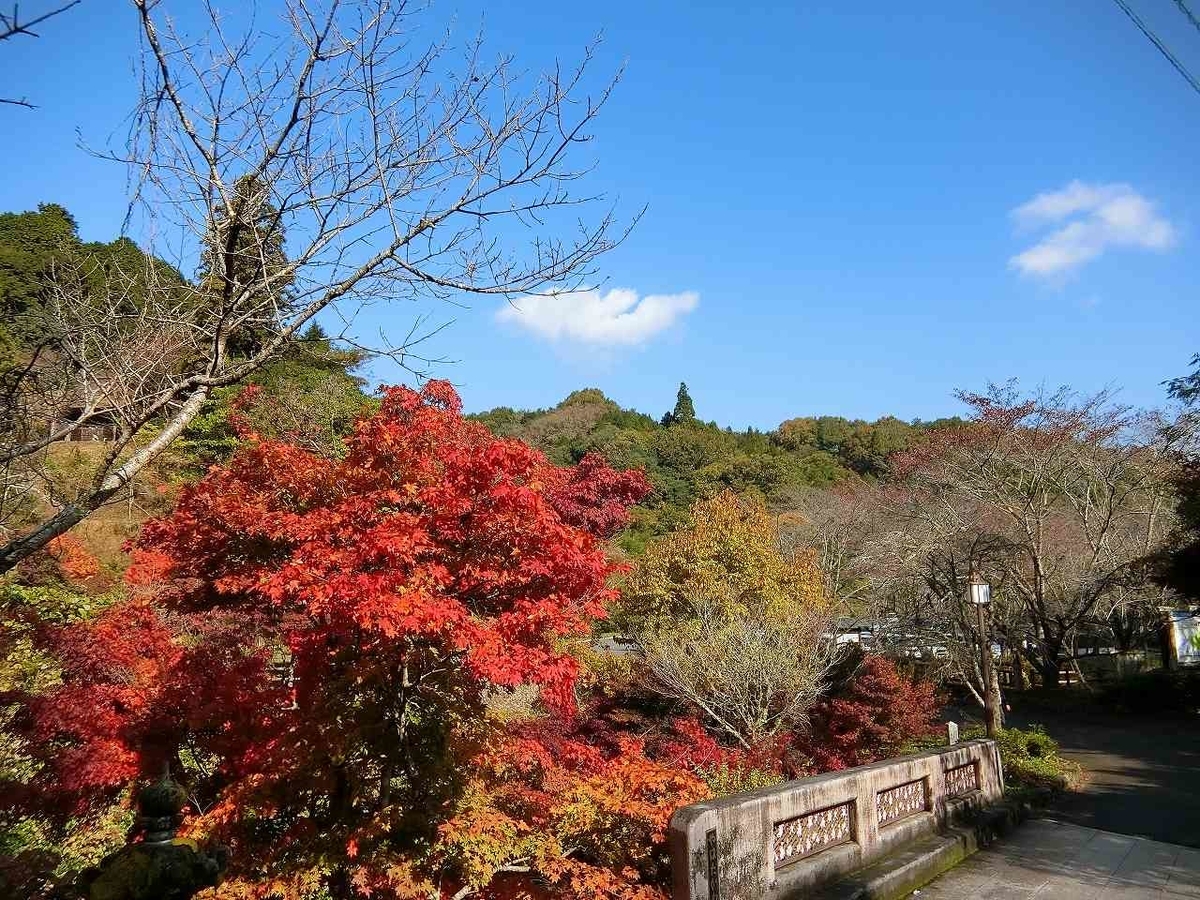 f:id:shin_no_suke_96:20201110201257j:plain