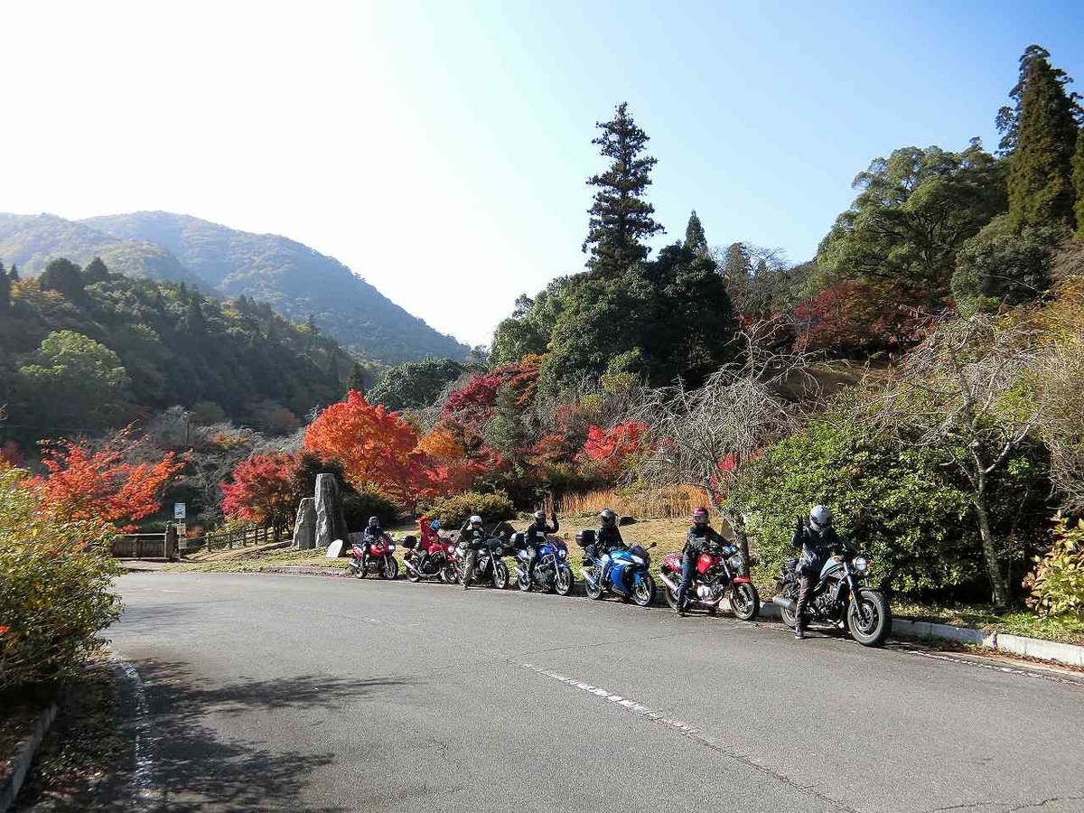 f:id:shin_no_suke_96:20201110201301j:plain