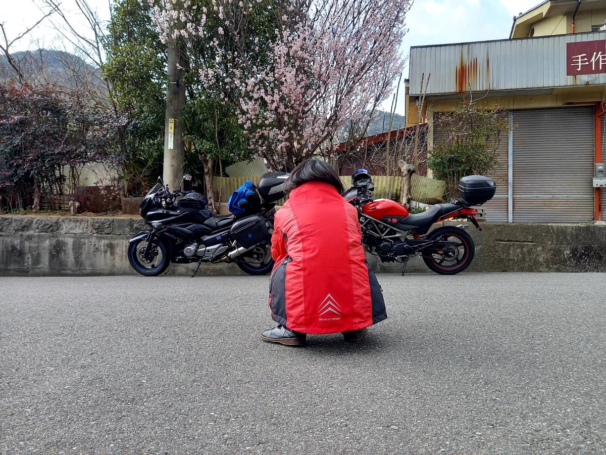 f:id:shin_no_suke_96:20210315205708j:plain