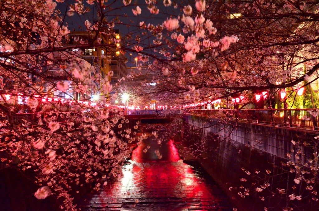 f:id:shin_t_o:20170416194244j:plain f:id:shin_t_o:20170416194244j:plain